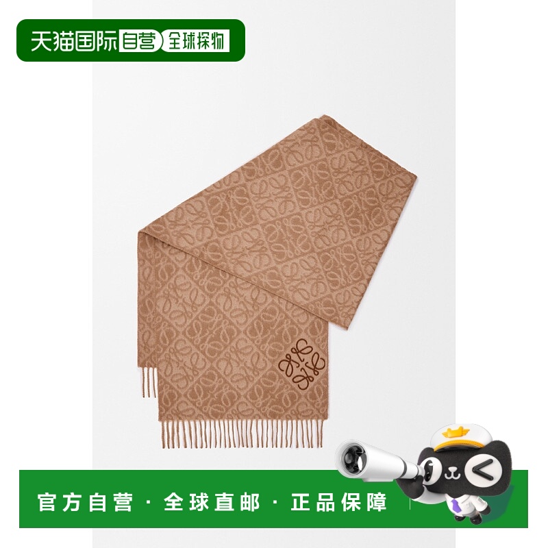 欧洲直邮LOEWE 罗意威 25秋冬 F811SS1X01-9579 男士 围巾