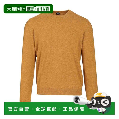 欧洲直邮FEDELI 男士针织衫 MU007001ZUCCA AW202【付后1h可退】