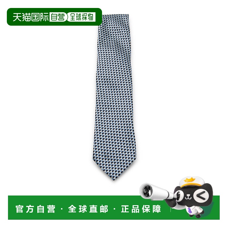 香港直邮Zegna 尖头领带 Z2C85TA21P8
