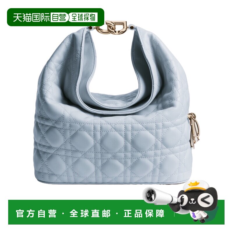 Dior Toujours 小号手提包单肩包斜挎包 M2867ODKZ迪奥图片