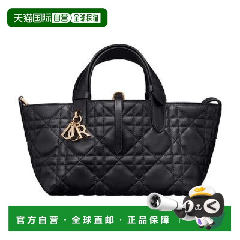 自营1h可退 欧洲直邮Dior/迪奥 小号 Dior Always 包