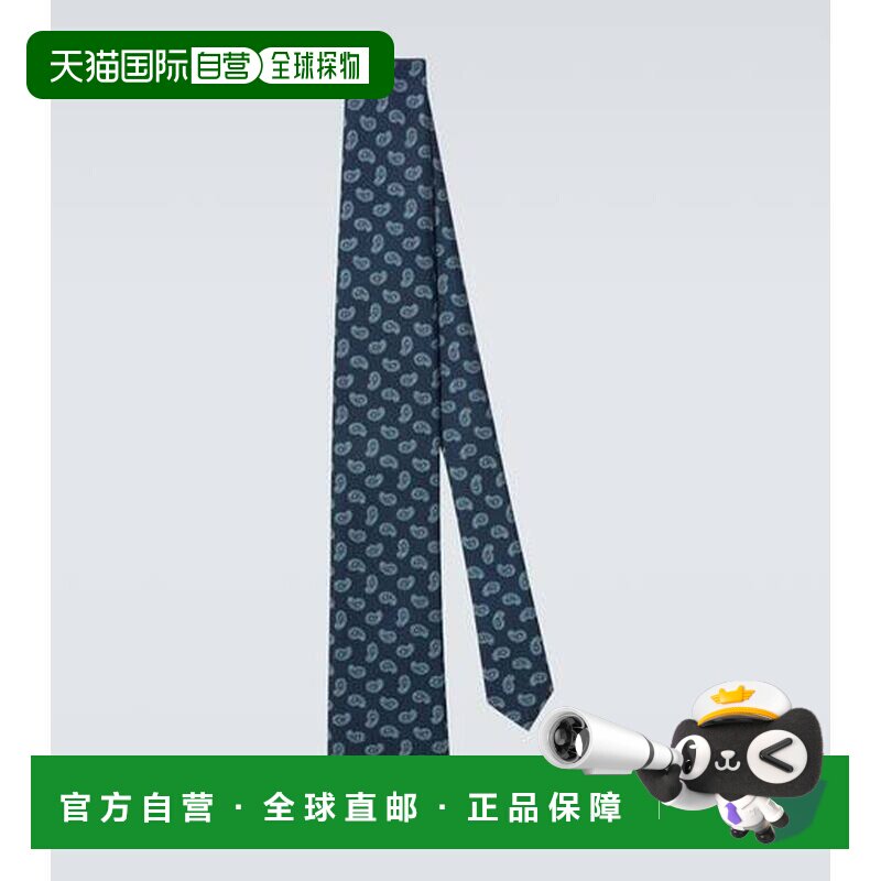 1h可退 香港直邮Brioni 布里奥尼 男士 佩斯利真丝提花领带