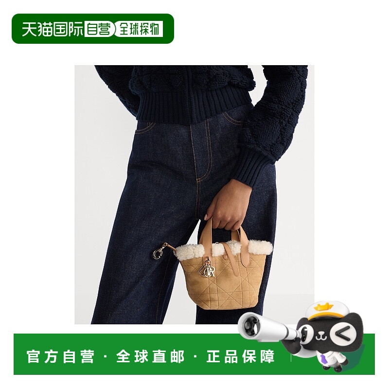 欧洲直邮DIOR (2025) 纳米垂直手提包 Dior Toujours DiorAlps