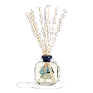 欧洲直邮Santa Maria Novella圣玛利亚无火香薰250ml耐用扩香