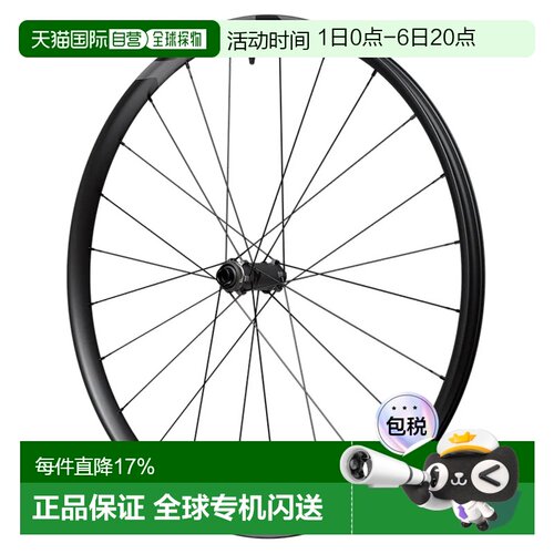 欧洲直邮SHIMANO M9200 29英寸 Boost CL 碟刹 无内胎 山地车前轮