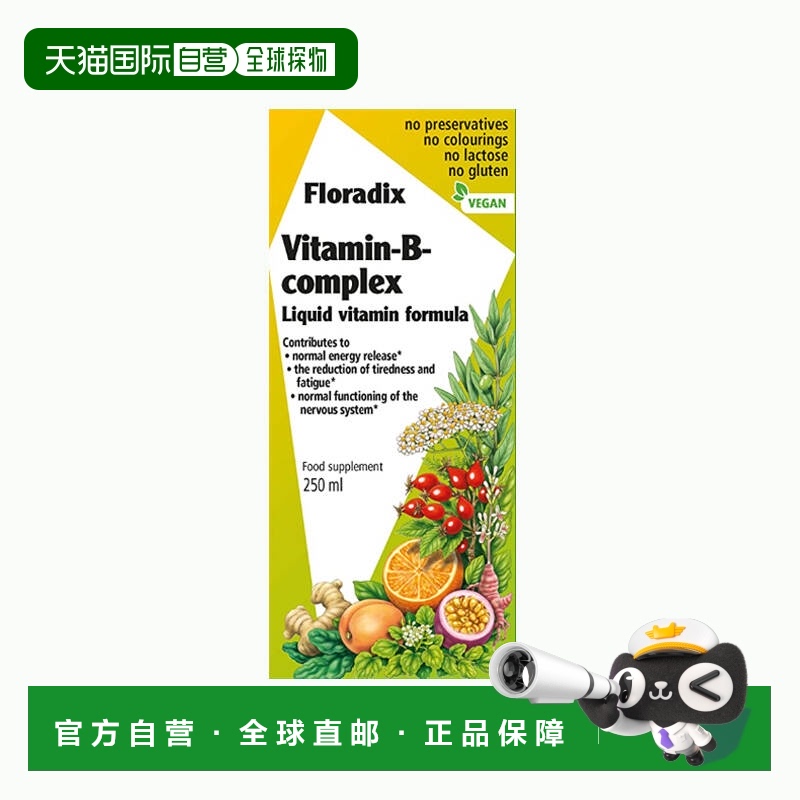 欧洲直邮英国药房Floradix铁元矿物营养液维生素B复合维他命250ml