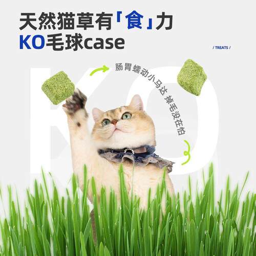 宝迪路冻干猫草粒猫咪零