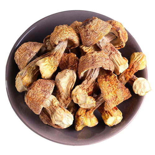 新疆特产蘑菇松茸菌土特产野生菌汤饭拌面煲汤松茸菇500克包邮