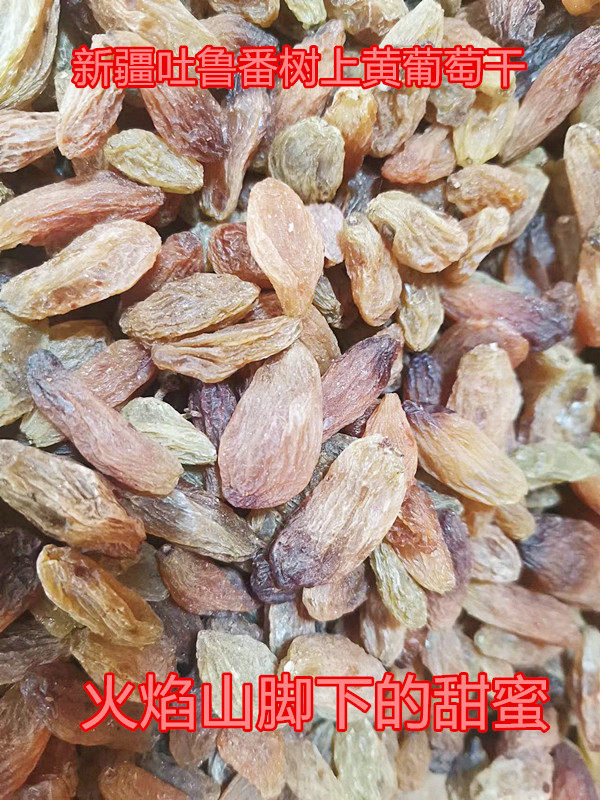 新疆吐鲁番葡萄干葡萄沟火焰山树上黄葡萄干自然晾晒1000g包邮