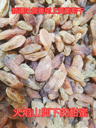 新疆吐鲁番葡萄干火焰山