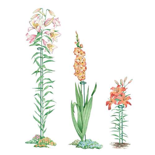 花支柱铁花架价格 花支柱铁花架图片 星期三