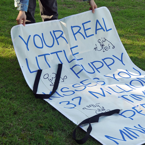 文艺高颜值户外便携加厚野餐垫