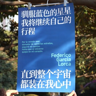 PoemsForYou原创诗歌海报复古风A2文艺装饰小众房间卧室背景墙贴