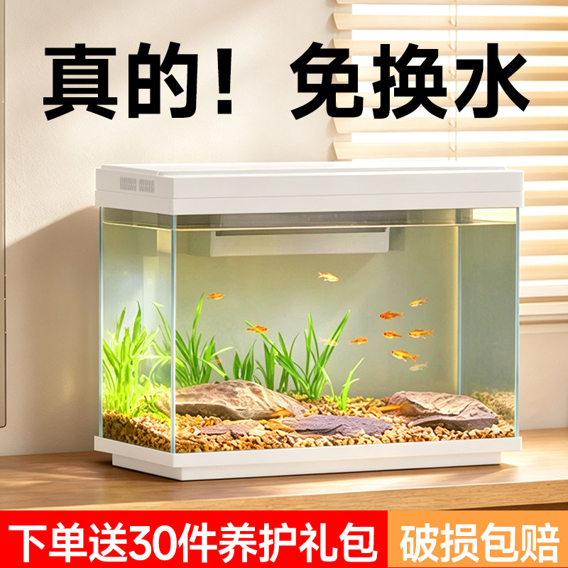 鱼乐多超白玻璃鱼缸小型客厅过滤制氧一体机自循环桌面懒人水族箱