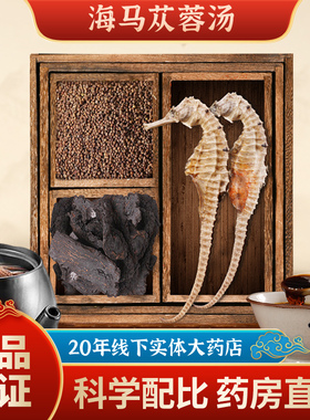 海马苁蓉汤海马干货肉苁蓉菟丝子煲汤包泡酒料中药材公母配对三斑