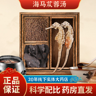 海马苁蓉汤海马干货肉苁蓉菟丝子煲汤包泡酒料中药材公母配对三斑