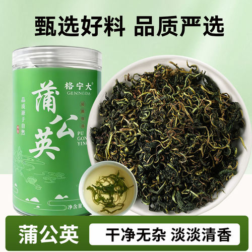 蒲公英干货可泡茶官方旗舰店