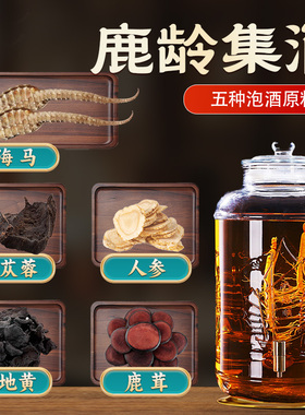 鹿龄集酒泡酒药材海马泡酒药材鹿茸海马熟地肉苁蓉男人滋补养生cf
