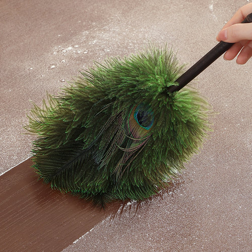 孔雀毛鸵鸟毛除尘掸家用除尘神器