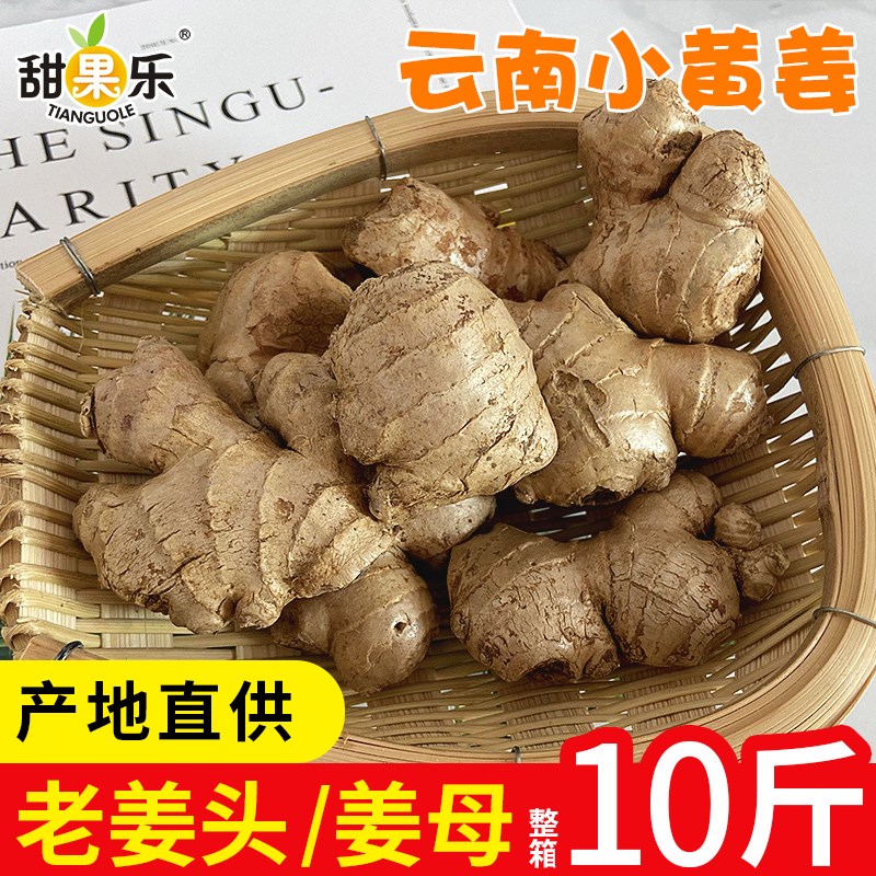 云南小黄姜姜母姜种老姜头10斤生姜包邮新鲜蔬菜月子
