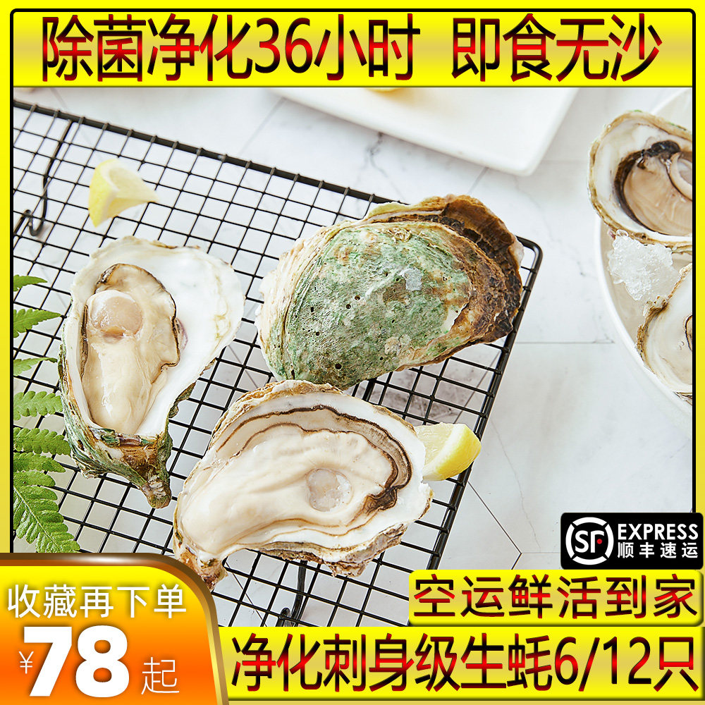 刺身级生蚝鲜活新鲜牡蛎海蛎子6/12只生吃净化翡翠蚝非法国吉娜朵