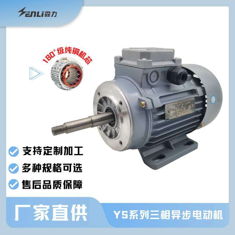 YS三相异步电动机2极机械设备厂家定制40W-2200W马达工厂
