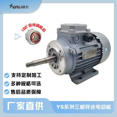 YS三相异步电动机2极机械设备厂家定制40W-2200W马达工厂
