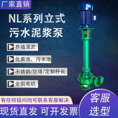 NL立式泥浆泵液下排污泵鱼塘河道清淤泵铸铁不锈钢抽泥泵