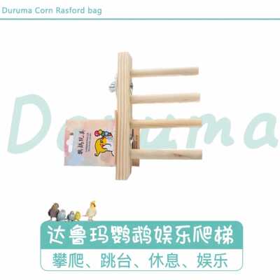 达鲁玛台湾鹦鹉娱乐爬梯