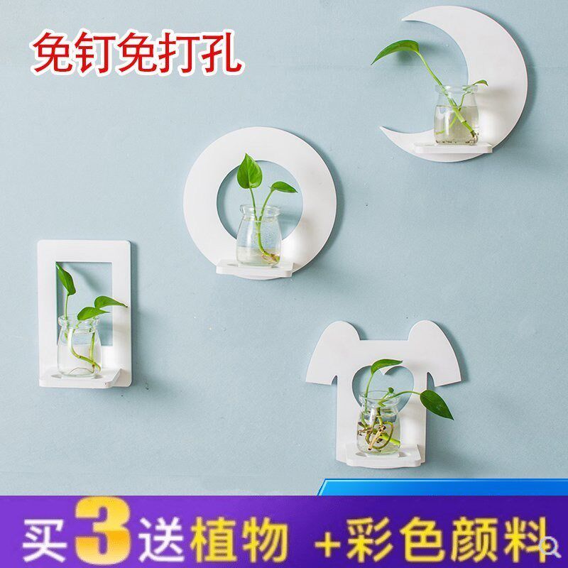 .Potted plant flowers and plants Botany Wall Water to keep Wall hanging originality Water to keep autohesion Shelf Potted plant A partitionin the Home accessories , Mural  category - from Buy2taobao.com to provide professional Taobao agent buy service