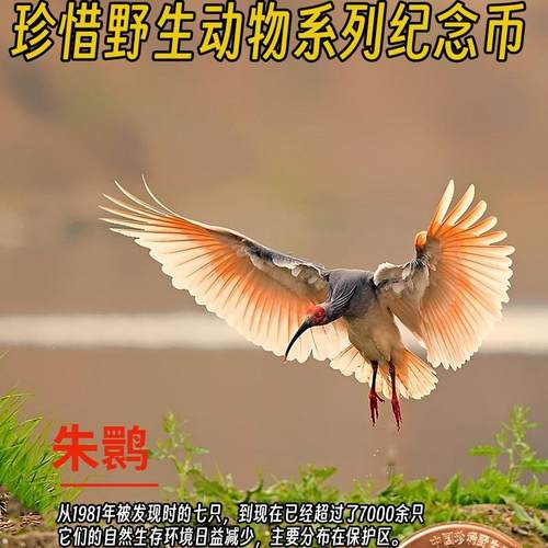 朱鹮丹顶鹤珍稀野生动物纪念币