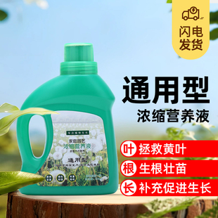 花卉绿植【通用型营养液】【肥料】 促进根系生长 拯救黄叶