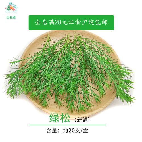 新鲜绿松绒松非黄金柳芽20支盒酒店餐厅摆盘装饰西餐日料点缀花草
