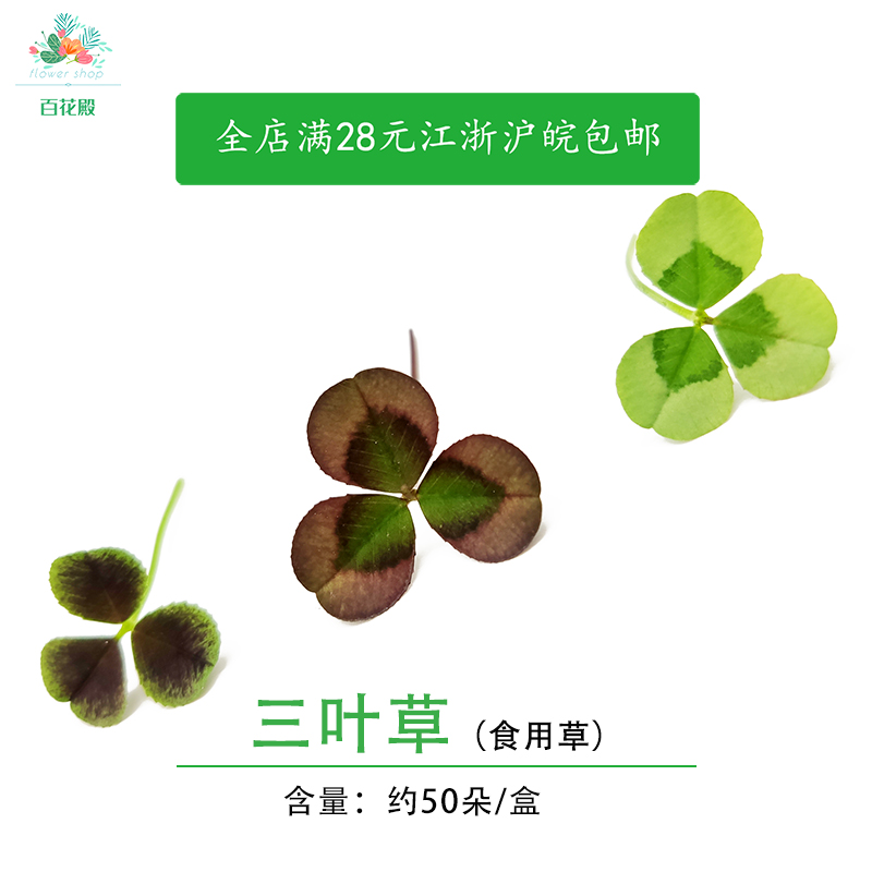 新鲜缤纷三叶草 幸运草可食用 日料西餐装饰摆盘用50片非醡浆草