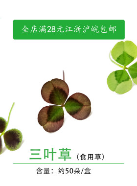 新鲜缤纷三叶草 幸运草可食用 日料西餐装饰摆盘用50片非醡浆草