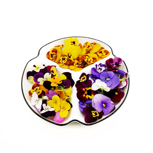 三色堇黄金柳芽组合 摆盘装饰点缀