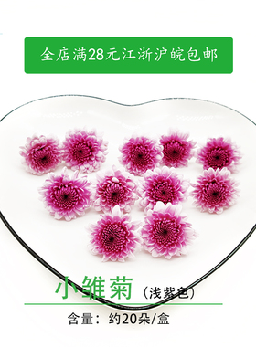 紫雏菊浅紫色新鲜粉丹特雏菊鲜花20朵小菊花西餐日料摆盘装饰花草