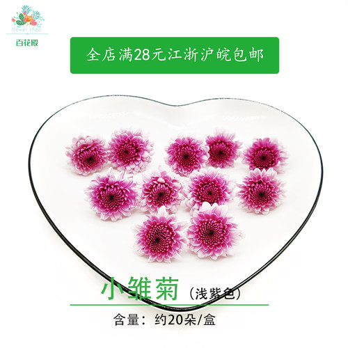 紫雏菊浅紫色新鲜粉丹特雏菊鲜花20朵小菊花西餐日料摆盘装饰花草