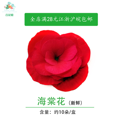 海棠花 新鲜重瓣丽格海棠花西餐可食用鲜花 酒店餐饮摆盘装饰点缀