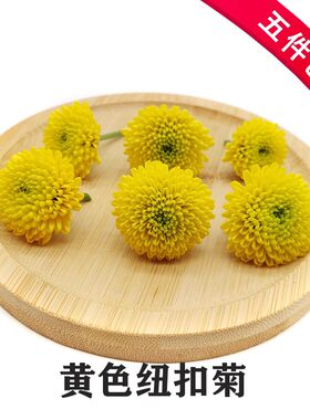 新鲜纽扣菊黄色20朵小金菊彩菊小黄菊乒乓菊冷意酒店西餐摆盘装饰