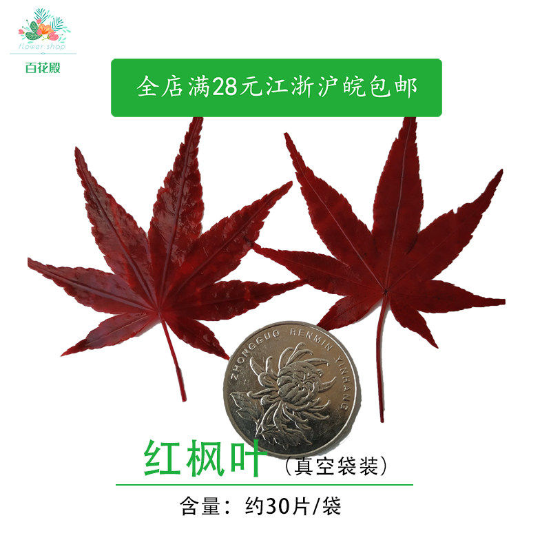新鲜酒店料理装饰花点缀红枫叶图片
