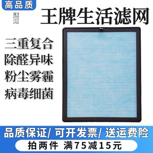 适用王牌生活空气净化器过滤网KQ-1102/03/06除甲醛异味病菌滤芯