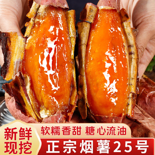 山东糖心蜜薯25号红心烤红薯新鲜烟薯地瓜甜番薯农家自种流油软糯