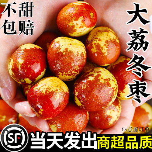 【官方推荐】大荔冬枣|脆甜|新鲜