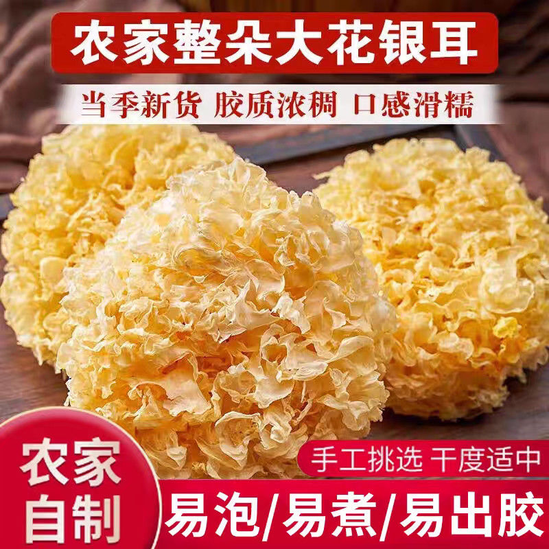 古田特产自制大花银耳当季新货手工挑选胶质浓稠易泡易煮易出胶