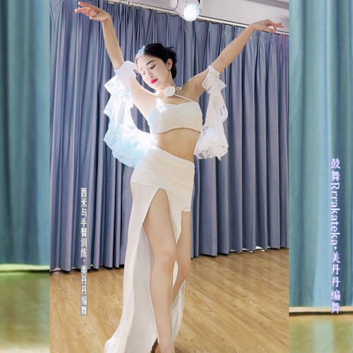 悦梦风璐肚皮舞服2024夏季新款性感舞娘流苏修身仙女练功服舞服