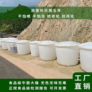 加厚耐用食品级牛筋桶塑料圆桶带盖家用户外储水桶酿酒发酵大容量