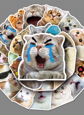65pcs Funny Cute Cat Meme Stickers Kid Toy Scrapbook Noteboo