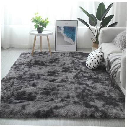 Carpet living room tea table bedroom bedside blanket mat地毯