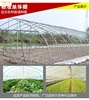 大棚骨架钢管迷你钢架温室大棚蔬菜种植养殖大棚连体连栋棚配件